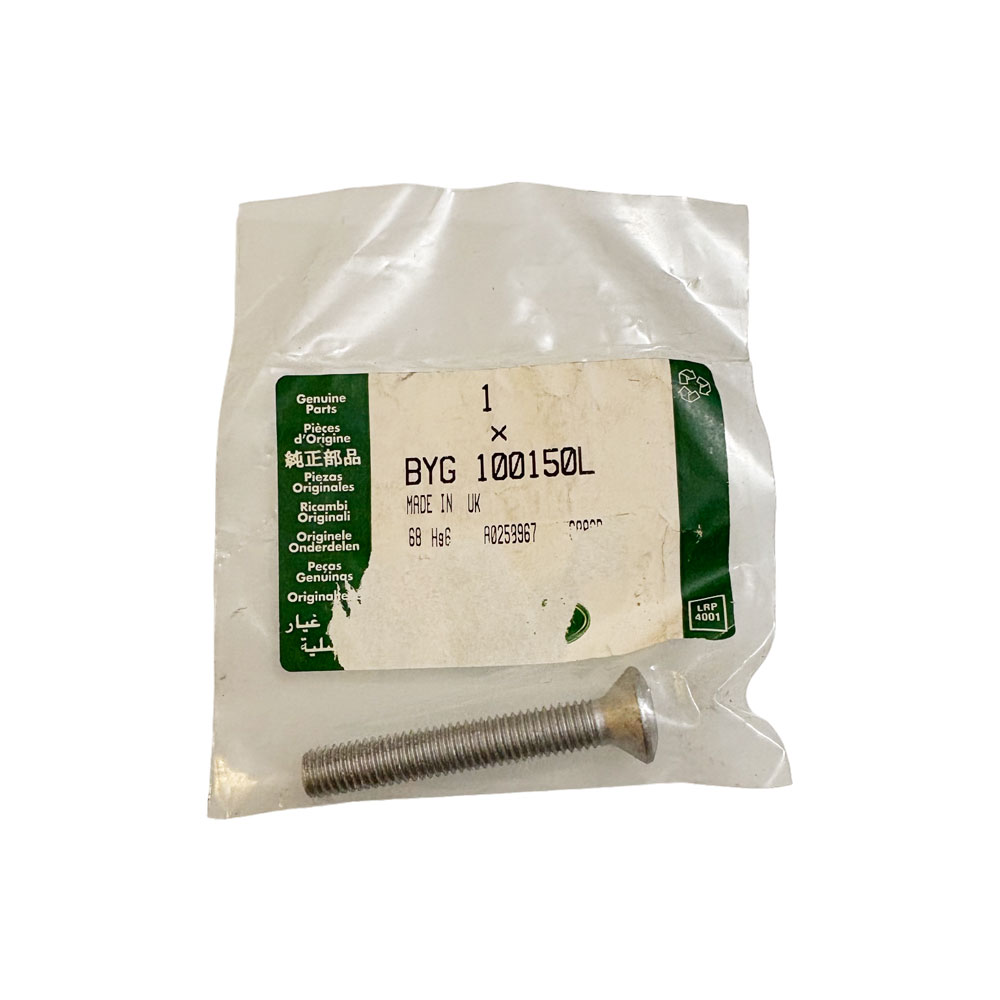 Torx Bolt for Door Hinge BYG100150L